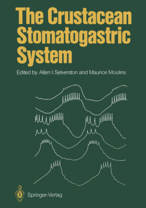 Honighäuschen (Bonn) - This book is a result of a Symposium* organized by the Editors in October 1984 at San Diego. Almost all of the present and past investigators of the Crustacean Stomatogastric Nervous Systems participated. However, this book should not, by any means, be considered a sympo sium report. Its goal is to present not only the most recent results obtained with this system, but also a complete and comprehensive view of the con tributions made by this preparation to fundamental concepts in neurobiol ogy. This has been possible only with the cooperation of all of the investiga tors concerned and we must gratefully thank all of our colleagues who have agreed to let the authors of the chapters include some unpublished results. Short appendices have been added to several chapters to clarify some key points which are still unpublished or to illustrate briefly some recent promis ing new findings. We would also like to acknowledge as a whole the many journals which have permitted us to reproduce some Original figures. Maurice Moulins and Allen I. Selverston * Supported by the National Science Foundation and the Centre National de la Re cherche Scientifique. Contents Introduction. M. Moulins and A.1. Selverston. (With 4 Figures) . . . . . 1 1 Functional Anatomy and Behavior. B.J. Claiborne and J. Ayers (With 11 Figures). . . . . . . . . . . . . . . . . . . . . . . . . . . . . . . . . . 9 1.1 Functional Anatomy . . . . . . . . . . . . . . . . . . . .. . . 9 . . . . . 1.1.1 Ossicles.. . . . . . . . . . . . . . . . . . . . . . .. . . . 9 . . . . . 1.1.2 Musculature . . . . . . . . . . . . . . . . . . . . .. . . 11 . . . . . . 1.1.3 Nervous System . . . . . . . . . . . . . . . . . . .. . . 13 . . . . .