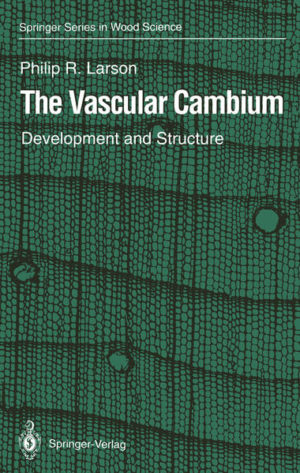 Honighäuschen (Bonn) - The cambium has been variously defined as follows: "The actively dividing layer of cells that lies between, and gives rise to, secondary xylem and phloem (vascular cambium)" (IAWA 1964)