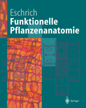 Honighäuschen (Bonn) - In einem bisher einzigartigen Ansatz beschreibt das Buch die Strukturelemente der Pflanzen nach ihrer Funktion. Damit wird die vergleichende Anatomie mit den physiologischen Prozessen in Zusammenhang gebracht - veranschaulicht durch eine Fülle instruktiver Abbildungen.