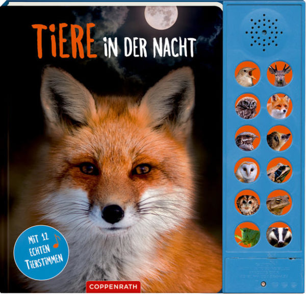 Honighäuschen (Bonn) - Wer ruft und raschelt in der Nacht? Mit diesem Soundbuch lernen kleine und große Tierfreunde 12 verschiedene Arten kennen. Mit vielen Fotos, spannenden Sachinformationen und den echten Stimmen von Tieren, die in Dämmerung und Dunkelheit unterwegs sind.