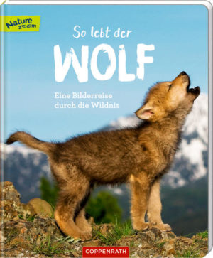 Honighäuschen (Bonn) - Entdecke das geheimnisvolle Leben der jungen Wölfe! Welche Abenteuer müssen sie in freier Wildbahn bestehen? Faszinierende Fotos und ein behutsamer Text vermitteln erzählerisch erstes Sachwissen.