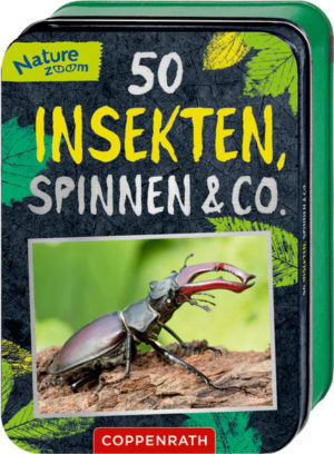 50 Insekten, Spinnen & Co. | Honighäuschen