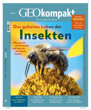 Honighäuschen (Bonn) - Diese Ausgabe von GEOkompakt behandelt das Faszinosum der Insekten. Auf der jüngsten Konferenz der ehrwürdigen Royal Geographical Society in London kamen Experten zu dem Schluss, dass Bienen aus Menschensicht die wichtigsten Lebewesen auf der Welt sind.