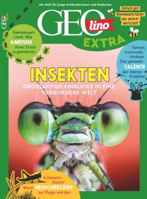 GEOlino Extra / GEOlino extra 101/2023 - Insekten: Monothematisches Themenheft für kleine Abenteurer | Juliane van Treeck