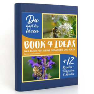 BOOK 4 IDEAS modern | Bienen und Hummeln, Notizbuch, Bullet Journal mit Kreativitätstechniken und Bildern, DIN A5 | Honighäuschen