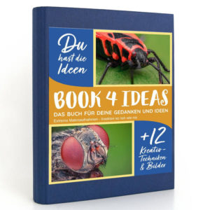 BOOK 4 IDEAS modern | Extreme Makroaufnahmen - Insekten so nah wie nie, Notizbuch, Bullet Journal mit Kreativitätstechniken und Bildern, DIN A5 | Honighäuschen