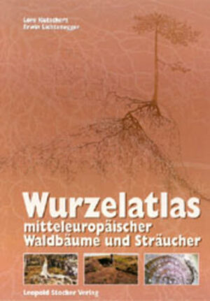 In diesem Werk werden erstmals die vollständig freigelegten Wurzelsysteme von 78 Bäumen und Sträuchern in 188 Zeichnungen und 1.200 Farbbildern dargestellt und beschrieben. Ergänzt wird diese Gesamtdarstellung durch die Erklärung des anatomischen Wurzelaufbaues anhand von Wurzelschnitten. Bisherige Wurzeldarstellungen beschreiben meist nur den stammnahen Bereich, was zu falschen Rückschlüssen führen kann. Die nun vorliegende Darstellung vermittelt darüber hinaus die räumliche Verteilung der Wurzelmasse und macht die Auswirkung von Umwelteinflüssen auf die Wurzelform deutlich. Das umfangreiche Bildmaterial bildet die Grundlage für eine allgemeine und eine artspezifische Beschreibung und dient somit der näheren Erläuterung der unterschiedlichen Standortansprüche der Arten. Daraus lassen sich weitreichende Rückschlüsse, z. B. für eine erfolgreiche und standortgemäße Begründung und Bewirtschaftung von Waldbeständen, ziehen. Besonders hervorzuheben sind die erstmals erfolgte umfangreiche Berücksichtigung der Feinbewurzelung und  damit verbunden  die übersichtliche Darstellung der gesamten Wurzelausbreitung.