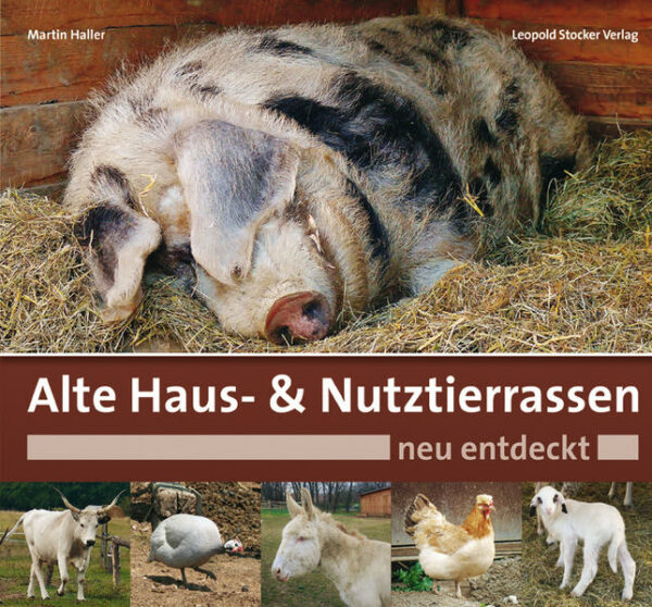 Althergebrachte Vielfalt Rätisches Grauvieh, Kärntner Brillenschaf, Altsteirer Huhn, Deutsche Landpinscher und Meißner Widder  alles über alte Haustierrassen. Mehr als 200 alte Haus- und Nutztierrassen aus Mitteleuropa, also aus dem ehemals deutschsprachigen Raum und den Ländern der österreichisch-ungarischen Monarchie, bittet Autor Martin Haller vor den Vorhang. Viele von ihnen sind bereits vom Aussterben bedroht. Aufgrund ihrer besonderen Eigenschaften können diese Rassen jedoch nicht nur für den Hobbyhalter, sondern auch für viele Landwirte von Interesse sein. Alles Wissenswerte über diese Tiere erfährt man nun in diesem reich bebilderten Buch.  24 Pferde- und Eselrassen, wie Jütländer Kaltblut, Lipizzaner oder Albinoesel  29 Rinderrassen bis zum Hauswasserbüffel und dem Wittgensteiner Blessvieh  8 Schweinerassen, wie das Turopolje- oder das rot-bunte Husumer Schwein  27 Schaf- und 15 Ziegenrassen, von der Heidschnucke bis zur Erzgebirgsziege  87 Geflügelrassen, ob Deutsches Lachshuhn, Pommernente, Lippegans oder Cröllwitzer Pute  12 Kaninchenrassen, wie Blaue Wiener oder Rheinische Schecke  15 vom Aussterben bedrohte Hunderassen, wie Landpinscher, Strobel und Stumper  Der Autor Martin Haller ist Verfasser verschiedener Fachbücher über Hunde und Pferde sowie zahlreicher Fachartikel über Haustierrassen.