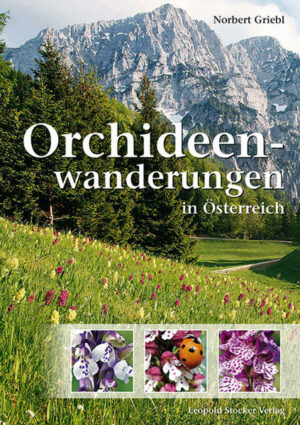 Der Weg ist das Ziel   und zwar ein lohnendes. Auf diesen Wanderungen warten am Wegrand die schönsten Orchideen Österreichs. Wer beeindruckende Bestände des Großen Frauenschuhs