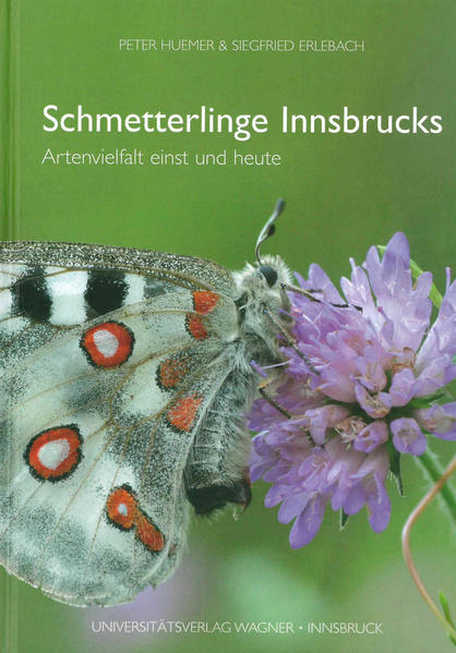 Schmetterlinge Innsbrucks. Artenvielfalt einst und heute | Honighäuschen