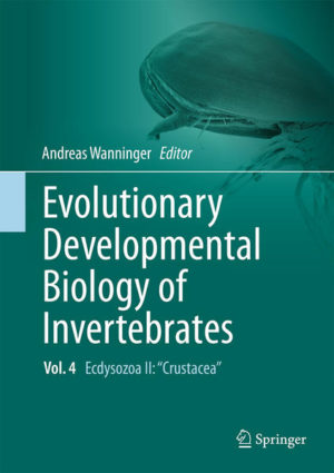 Honighäuschen (Bonn) - This multi-author, six-volume work summarizes our current knowledge on the developmental biology of all major invertebrate animal phyla. The main aspects of cleavage, embryogenesis, organogenesis and gene expression are discussed in an evolutionary framework. Each chapter presents an in-depth yet concise overview of both classical and recent literature, supplemented by numerous color illustrations and micrographs of a given animal group. The largely taxon-based chapters are supplemented by essays on topical aspects relevant to modern-day EvoDevo research such as regeneration, embryos in the fossil record, homology in the age of genomics and the role of EvoDevo in the context of reconstructing evolutionary and phylogenetic scenarios. A list of open questions at the end of each chapter may serve as a source of inspiration for the next generation of EvoDevo scientists. Evolutionary Developmental Biology of Invertebrates is a must-have for any scientist, teacher or student interested in developmental and evolutionary biology as well as in general invertebrate zoology. This second volume on ecdysozoans covers all animals commonly known as crustaceans. While Crustacea is currently not considered a monophylum, it still appears reasonable to combine its representatives in one joint volume due to their numerous shared morphological and developmental characteristics. Because of the huge variation in the amount of available developmental data between the various taxa, only the Dendrobranchiata, Astacida and Cirripedia are treated in individual chapters. The remaining data on crustacean development, usually incomplete and often patchy, is presented in two chapters summarizing early development and larval diversity, thereby also taking into account the data on fossil larval forms.