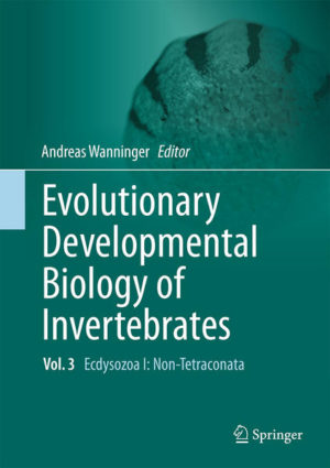 Honighäuschen (Bonn) - This multi-author, six-volume work summarizes our current knowledge on the developmental biology of all major invertebrate animal phyla. The main aspects of cleavage, embryogenesis, organogenesis and gene expression are discussed in an evolutionary framework. Each chapter presents an in-depth yet concise overview of both classical and recent literature, supplemented by numerous color illustrations and micrographs of a given animal group. The largely taxon-based chapters are supplemented by essays on topical aspects relevant to modern-day EvoDevo research such as regeneration, embryos in the fossil record, homology in the age of genomics and the role of EvoDevo in the context of reconstructing evolutionary and phylogenetic scenarios. A list of open questions at the end of each chapter may serve as a source of inspiration for the next generation of EvoDevo scientists. Evolutionary Developmental Biology of Invertebrates is a must-have for any scientist, teacher or student interested in developmental and evolutionary biology as well as in general invertebrate zoology. This is the first of three volumes dedicated to animals that molt in the course of their lifecycle, the Ecdysozoa. It covers all non-hexapods and non-crustaceans, i.e., the Cycloneuralia, Tardigrada, Onychophora, Chelicerata and Myriapoda. While the Nematoda and all other phyla are treated in their own chapters, the remaining cycloneuralians are presented jointly due to the dearth of available developmental data on its individual subclades.