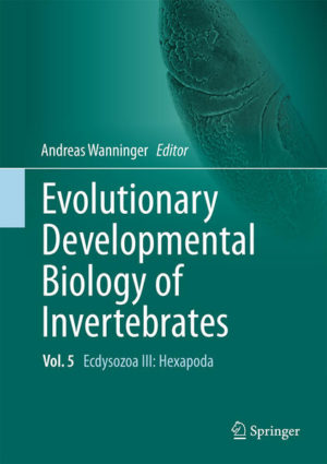 Honighäuschen (Bonn) - This multi-author, six-volume work summarizes our current knowledge on the developmental biology of all major invertebrate animal phyla. The main aspects of cleavage, embryogenesis, organogenesis and gene expression are discussed in an evolutionary framework. Each chapter presents an in-depth yet concise overview of both classical and recent literature, supplemented by numerous color illustrations and micrographs of a given animal group. The largely taxon-based chapters are supplemented by essays on topical aspects relevant to modern-day EvoDevo research such as regeneration, embryos in the fossil record, homology in the age of genomics and the role of EvoDevo in the context of reconstructing evolutionary and phylogenetic scenarios. A list of open questions at the end of each chapter may serve as a source of inspiration for the next generation of EvoDevo scientists. Evolutionary Developmental Biology of Invertebrates is a must-have for any scientist, teacher or student interested in developmental and evolutionary biology as well as in general invertebrate zoology. This third volume on ecdysozoans is dedicated to the Hexapoda. Despite being the most species-rich animal clade by far, comparatively little developmental data is available for the majority of hexapods, in stark contrast to one of the best-investigated species on Earth, the fruit fly Drosophila melanogaster. Accordingly, an entire chapter is dedicated to this well-known and important model species, while the two remaining chapters summarize our current knowledge on early and late development in other hexapods.