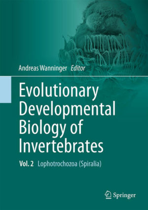 Honighäuschen (Bonn) - This multi-author, six-volume work summarizes our current knowledge on the developmental biology of all major invertebrate animal phyla. The main aspects of cleavage, embryogenesis, organogenesis and gene expression are discussed in an evolutionary framework. Each chapter presents an in-depth yet concise overview of both classical and recent literature, supplemented by numerous color illustrations and micrographs of a given animal group. The largely taxon-based chapters are supplemented by essays on topical aspects relevant to modern-day EvoDevo research such as regeneration, embryos in the fossil record, homology in the age of genomics and the role of EvoDevo in the context of reconstructing evolutionary and phylogenetic scenarios. A list of open questions at the end of each chapter may serve as a source of inspiration for the next generation of EvoDevo scientists. Evolutionary Developmental Biology of Invertebrates is a must-have for any scientist, teacher or student interested in developmental and evolutionary biology as well as in general invertebrate zoology. This volume covers the animals that have a ciliated larva in their lifecycle (often grouped together as the Lophotrochozoa), as well as the Gnathifera and the Gastrotricha. The interrelationships of these taxa are poorly resolved and a broadly accepted, clade-defining autapomorphy has yet to be defined. Spiral cleavage is sometimes assumed to be the ancestral mode of cleavage of this grouping and therefore the clade is referred to as Spiralia by some authors, although others prefer to extend the term Lophotrochozoa to this entire assemblage. Aside from the taxon-based chapters, this volume includes a chapter that highlights similarities and differences in the processes that underlie regeneration and ontogeny, using the Platyhelminthes as a case study.