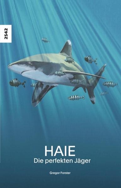 Honighäuschen (Bonn) - Was macht die Haie so schnell? Können sie ihre Beute nur riechen oder sehen sie sie auch? Fressen Haie wirklich alles? Wie erspüren sie die Gegenwart anderer Tiere? Die Sinnesorgane der Haie sind Hochleistungssensoren und haben sich seit 450 Millionen Jahren immer wieder an ihren Lebensraum angepasst.