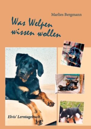 Honighäuschen (Bonn) - Ein tapsiges Kerlchen ohne Macken und voller Lerneifer, das man nach seinen eigenen Vorstellungen prägen kann, das ist der Wunsch vieler Hundefreunde. Doch kaum ist der Welpe im Haus, machen sich erste Unsicherheiten breit: Was tun, wenn der Kleine nachts nicht zur Ruhe kommt, wie reagieren, wenn das Bächlein auf den Teppich gegangen ist, wenn er begeistert Schuhe und Pflanzen zernagt und draußen wie verrückt an der Leine zieht? Beauceron Elvis hat alle wichtigen Lektionen für die ersten Lebensmonate schon lange gelernt und ist bei Frauchen Marlies Bergmann ein Traumhund geworden. Und weil er so gut Bescheid weiß, erzählt er in diesem Buch höchstpersönlich, wie er die Zeit des Lernens erlebt hat. Ein unterhaltsames Buch für alle, die einen Ratgeber für den konkreten Tagesablauf mit ihrem Welpen möchten und wissen wollen, wie man ihm ganz nebenbei noch gutes Benehmen beibringt.