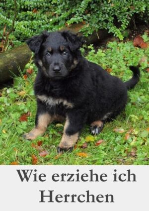 Honighäuschen (Bonn) - Aus Sicht des Hundes wird in humorvoller Art erzählt, wie sich unterschiedliche Verhaltensweisen von Menschen auf den Hund auswirken. So werden die Grundmuster des Zusammenlebens von Mensch und Hund auf anschauliche Weise vermittelt. Sie können als Grundlage für einen entspannten Umgang mit dem eigenen Hund dienen. So beinhaltet dieses Buch neben dem Unterhaltungscharakter auch viele nützliche Tipps.