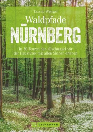 Nürnberg bietet mit seinen großen Waldgebieten Erholung pur