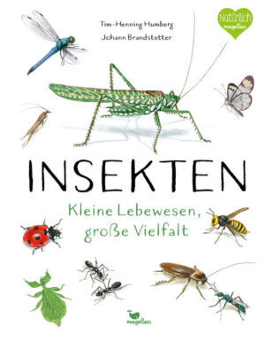 Insekten - Kleine Lebewesen, große Vielfalt: Ein umfassendes Sachbuch für Kinder ab 10 Jahren | Tim-Henning Humberg