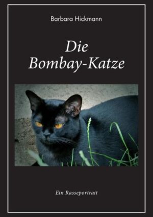 Honighäuschen (Bonn) - Die Bombay-Katze gehört zu den seltensten Katzenrassen der Welt. Für Menschen, die das Besondere lieben und gleichzeitig eine sanfte, anhängliche und extrem verschmuste Schönheit auf vier Pfoten suchen, ist die Bombay die ideale Familienkatze. Mit diesem Rasse-Portrait möchte die Autorin einerseits über die Bombay-Katze informieren, andererseits aber auch offen und ehrlich aufzeigen, wie schwierig die Zucht dieser liebenswerten Katzen immer noch ist und die Züchter gefordert sind, sich mehr für diese Rasse zu engagieren. Zusätzlich erhalten Sie einen Einblick in die Bombay-Zucht der Autorin mit vielen weiteren Informationen.