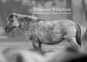 Honighäuschen (Bonn) - Ein Bildband der Dülmener Wildpferde, eine der wenigen freien Pferdegruppen in Mitteleuropa. Die Texte im Buch stammen von Kindern aus Münster, die sich mit dem Thema Pferd auseinandergesetzt haben.