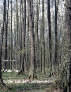 Honighäuschen (Bonn) - Das Buch zeigt Fotos von Waldbeständen und Blüten der Waldbodenflora im Spreewald. Die wissenschaftlichen und deutschen Namen der Pflanzen sind angegeben und forstliche Zusammenhänge werden kurz erläutert. Die Fotos zeigen die Schönheit und Vielfalt der Flora des Spreewaldes.