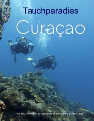 Curaçao ist ohne Frage ein Tauchparadies. Damit Sie Ihre Tauchreise nach Curaçao von Anfang an richtig und umfassend planen können