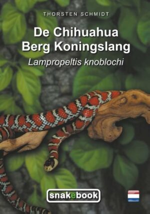 De Chihuahuahua berg koningslang (Lampropeltis knoblochi) is een van de meest populaire slangen in het terrarium. De heldere kleur, het rustige temperament en de ongecompliceerde bewaarvereisten maken de niet-giftige slang zelfs voor beginners in het terrarium een geschikte slang. De auteur houdt de soort al vele jaren vast en heeft deze herhaaldelijk gekweekt voor nakomelingen. In dit boek legt hij uit waar je op moet letten bij het houden van deze slangen en hoe je ze succesvol kunt houden en reproduceren.