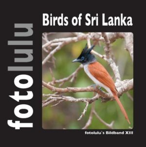 Honighäuschen (Bonn) - Die Vogelwelt auf Sri Lanka ist sehr vielseitig und artenreich. In diesem Buch lernen Sie 142 Vogelarten kennen, die ich mit der Kamera auf meiner Rundreise in Sri Lanka eingefangen habe. Lassen auch Sie sich von Bengalenpitta, Braunkopf-Bartvogel, Ceylon Haubenadler, Fischuhu, Sri Lanka Hainparadiesschnäpper und vielen weiteren Vögeln der Insel verzaubern. fotolulu