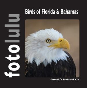 Honighäuschen (Bonn) - Die Vogelwelt in Florida und auf Grand Bahamas ist sehr vielseitig und artenreich. In diesem Buch lernen Sie 102 Vogelarten kennen, die ich mit der Kamera auf meiner Rundreise eingefangen habe. Lassen auch Sie sich von Dreifarbenreiher, Weißkopf-Seeadler, Blaumückenfänger, Carolinaspecht, Floridalimpim, Gelbschnabelkuckuck, Keilschwanz-Regenpfeifer, Katzenvogel und vielen weiteren Vögeln verzaubern. fotolulu