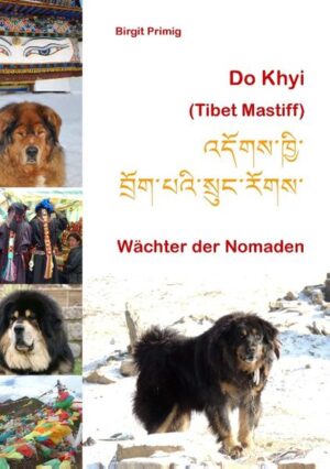 Honighäuschen (Bonn) - Der Do Khyi ist ein großer, robuster und langlebiger Hund, dessen Vorfahren aus Tibet stammen. Sie zogen mit Nomaden über die kalten und trockenen Hochebenen in einem Gebiet, das fünf Mal größer ist als Deutschland, Österreich und die Schweiz zusammen. Er dient dem Schutz der Nomaden und ihrer Herden. Dieses Buch gibt Einblick in die Herkunft dieser seltenen Hunderasse, die als teuerster Hund der Welt traurige und irreführende Berühmtheit erlangte. Der Entwicklung der Zucht in Europa und dem Rassestandard ist der zweite Teil des Buches gewidmet. Der dritte Teil behandelt ausführlich die Haltung des Do Khyi als Familienhund. Abgerundet wird das Buch durch Berichte von Züchterinnen und begeisterten Fans dieser Rasse. Mehr als 100 Fotos machen den Do Khyi noch anschaulicher.