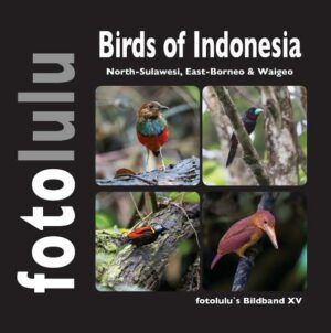 Honighäuschen (Bonn) - Dieses Buch soll einen kleinen Eindruck der vielfältigen Vogelwelt Indonesiens widerspiegeln. Auf meiner dreiwöchigen Reise ist es mir gelungen 172 Vogelarten vor die Linse zu bekommen. Die Reise ging von Nord-Sulawesi nach Weigeo (West-Papua) und dann nach Ost-Borneo. Hornvögel, Pittas und Paradiesvögel zu beobachten und zu fotografieren ist wohl für jeden Vogelfotografen ein Highlight. Lassen auch Sie sich begeistern und genießen Sie die Farbenpracht und Einzigartigkeit. Ihr fotolulu