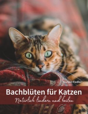 Honighäuschen (Bonn) - Die Bachblütentherapie ist eine Heilmethode, die insbesondere bei Beschwerden und Störungen mit psychischem Hintergrund Anwendung findet. Diese sehr sanfte Behandlungsform wird seit vielen Jahren mit großem Erfolg auch bei unseren Heimtieren angewendet. Bei Ängsten, Unsauberkeit oder Problemen bei der Zusammenführung, bei Unsicherheiten oder Umzug - im Laufe eines Katzenlebens geraten unsere sensiblen Katzen immer wieder in Situationen, die das seelische Gleichgewicht durcheinander bringen. Hier können Bachblüten ansetzen und der Katze zu Harmonie und innerer Ausgeglichenheit verhelfen. Das vorliegende Buch bietet Ihnen rundum ausführliches Wissen zum Einsatz der Bachblütentherapie bei Ihrer Katze. Wer war der Entdecker der Bachblütentherapie Dr. Edward Bach? Wie wirken Bachblüten und wie werden die Blütenmittel hergestellt? Nach welchen Methoden werden die passenden Bachblüten ausgewählt? Wie wird eine vollständige Therapie durchgeführt? Welche Besonderheiten der Behandlung gibt es bei Katzen? All diese Fragen werden im vorliegenden Buch ausführlich, leicht verständlich und anhand vieler Beispiele beantwortet. Fragebögen und Repertorien erleichtern die Auswahl der passenden Bachblüten. Abgerundet wird das Buch durch ausführliche Vorstellungen aller 38 von Bach entdeckten Bachblüten sowie der einzigen Blütenmischung Rescue Remedy: Sie finden botanische Beschreibungen und detaillierte Abbildungen zu jeder Bachblüten-Pflanze, ausführliche Erläuterungen zum negativen Seelenzustand mit vielen Beispielen zur leichteren Zuordnung, genaue Abgrenzungen zu Blüten mit ähnlichen emotionalen Zuständen, Hinweise zu passenden Blütenergänzungen und Möglichkeiten zum Einsatz der Bachblüten bei körperlichen Beschwerden.