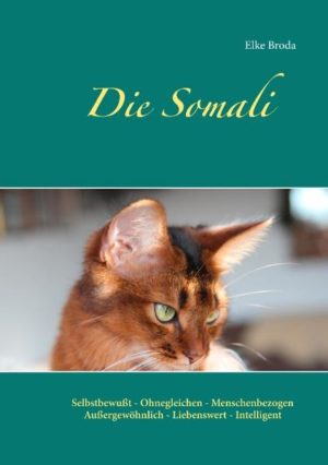 Honighäuschen (Bonn) - Hier erhalten Sie Informationen zu der Somalikatze. In erster Linie richtet es sich an Katzenliebhaber. In Wort und Schrift wird über die Entstehung, Aussehen und Haltung der Somali Infos gegeben.