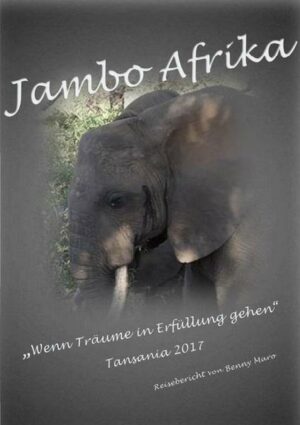 Der Inhalt des Buches ist ein Reisebericht nach Tansania im Jahre 2017. Schon in meiner Kindheit empfand ich eine tiefe Verehrung für den Urwalddoktor Albert Schweitzer