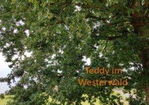 Teddy Karo reist mit Helga in ihre ursprüngliche Heimat Westerwald
