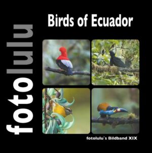 Honighäuschen (Bonn) - Dieses Buch soll einen kleinen Eindruck der vielfältigen Vogelwelt Ecuadors Westen widerspiegeln. Auf meiner dreiwöchigen Reise ist es mir gelungen über 330 Vogelarten vor die Linse zu bekommen. Die Reise begann in Mindo, ging weiter nach Chuchilan, Puerto Lopez und von dort über Mindo zum Cotopaxi. Die vielfältige und farbenprächtige Vogelwelt Ecuadors zu beobachten und zu fotografieren ist für jeden Vogelfotografen ein Highlight. Lassen auch Sie sich begeistern und genießen Sie die Farbenpracht und Einzigartigkeit. Ihr fotolulu