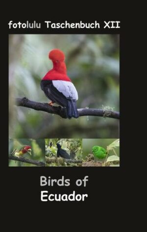 Honighäuschen (Bonn) - Birds of Ecuador In diesem Bildband möchte ich Ihnen die vielfältige Vogelwelt des Westens von Ecuador etwas näher bringen. Lassen auch Sie sich verzauben von der Farbenpracht und Einzigartigkeit, der von mir fotografierten 331 Vogelarten. Das Buch wird ergänzt mit einer kompletten Checkliste der 1678 Vogelarten Ecuadors - latein, deutsch & englisch. Ihr fotolulu