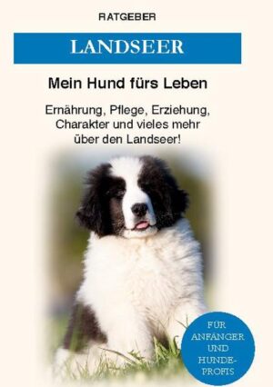 Honighäuschen (Bonn) - Großer Hund mit großem Herzen. Bist du auf der Suche nach einem ganz besonderen Hund? Einem treuen Freund, ruhigen Begleiter und aufgeweckten Spielgefährten für dich und deine Familie? Und bist du bereit, ihm genauso viel Liebe, Respekt und Aufmerksamkeit zu schenken, wie er sie dir entgegenbringt? Das sind schon einmal sehr gute Voraussetzungen dafür, dass du und dein Landseer ein perfektes Paar werdet. Der Riese mit dem großartigen Charakter ist ein wahrer Familienmensch. Er will dazugehören, ein Teil der Gemeinschaft sein und viel Zuneigung spüren. Er wirkt selbstbewusst, aber sein großes Herz ist dennoch sensibel. Diese zwei Aspekte seiner Persönlichkeit bedeuten, dass du ihn von Beginn an konsequent, aber mit sehr sanfter Hand erziehen musst. Er wird seine Größe und Stärke dir und den anderen Familienmitgliedern gegenüber nicht ausspielen, denn das Wohl seiner Liebsten liegt ihm am Herzen. Doch er weiß manchmal nicht mit seinen Kräften hauszuhalten, wenn er an der Leine zieht und sein Beschützerinstinkt macht ihn zu einem wachsamen Aufpasser. Da er aber sehr gelehrig ist und seiner Familie gefallen möchte, lässt er sich leicht erziehen und zeigt gern seine wunderbaren Eigenschaften. Mit einem Landseer holst du dir einen der faszinierendsten Hunde, die es gibt, ins Haus, aber du trägst auch eine große Verantwortung. Damit der anhängliche ehemalige Arbeits- und Rettungshund sich wohlfühlt, braucht er viel Zuwendung und intelligente Beschäftigung. Erfahre in diesem spannenden Ratgeber alles über diese seltene Rasse, die schon fast verschwunden war. Finde heraus, ob der Landseer für dich der ideale Hund ist und lerne, wie euer zukünftiges Zusammenleben für alle Beteiligten eine wunderschöne Zeit wird. Das erwartet dich in diesem Buch: Aussehen, Persönlichkeit & Geschichte des Landseers Die Anschaffung eines Landseers - Was gibt es zu beachten? Ernährung, Gesundheit & Pflege Basiswissen über Entwicklung, Charakter & Sozialverhalten Eingewöhnung im neuen Zuhause & grundlegende Erziehung Aktivitäten & Beschäftigung für einen Landseer und viele weitere interessante Informationen Mit diesem Ratgeber besitzt du eine Entscheidungshilfe, ob ein Landseer für dich geeignet ist. Du kannst dich darauf vorbereiten, dieses beeindruckende Wesen bei dir aufzunehmen. Entscheide dich jetzt gerne für dieses Buch, damit du und dein Landseer ein perfektes Team werdet!