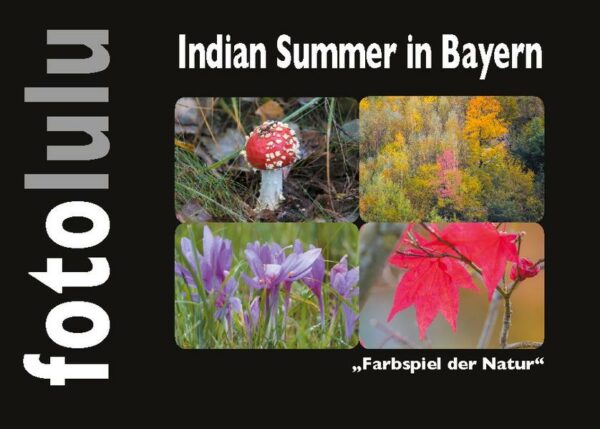 Indian Summer in Bayern Farbspiel der Natur "Lass Bilder sprechen." Getreu diesem Motto habe ich die Fotos weder beschrieben noch mit Ortsangaben versehen. Es geht nicht darum was der Fotograf gesehen hat