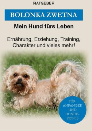 Honighäuschen (Bonn) - Bolonka Zwetna - Der Familienhund Der niedliche Bolonka Zwetna hat seinen Ursprung in Russland. Der einstige Zarenhund war Ende des 18. Jahrhunderts bis auf ein paar wenige Tiere ausgestorben. Heute zählt der quirlige Bolonka Zwetna zu den beliebtesten Familienhunden. Es sind sehr treue und liebe Hunde, die ihren Menschen auf Schritt und Tritt folgen und durch ihr fröhliches Wesen jeden zum Lachen bringen. Sie sind kleine Allrounder und finden großen Anklang bei großen und kleinen Hundefans. Darüber hinaus eignet er sich bestens für Ersthundehalter, da er gut verträglich ist, gerne lernt, sehr auf Menschen fixiert und leicht zu führen ist. Er hat die große Gabe, sich seiner Familie anzupassen und ist gerne mit sportlich aktiven Menschen zusammen. Doch auch den ruhigeren Menschen passt er sich gut an. Ältere Menschen werden auch ihre Freude an dem kleinen Hund haben. Aufgrund ihres kleinen Körperbaus können Bolonka Zwetna sehr gut in einer Wohnung gehalten werden. Allerdings sollte man darauf achten, dass sie nicht zu lange alleine gelassen werden, denn das mögen sie gar nicht. Mit diesem Ratgeber werden Sie den Bolonka Zwetna viel besser kennenlernen. Sie lernen die Charaktereigenschaften kennen, wer sich überhaupt als Halter*in eignet, worauf man achten muss, wenn der Welpe einzieht und wie man seinem Bolonka Zwetna die wichtigsten Grundkommandos auf eine spielerische Art beibringt. Es werden folgende Themen in den verschiedenen Kapiteln besprochen und bestimmt viele Fragen geklärt: Charaktereigenschaft und Aussehen vom Bolonka Zwetna Wer eignet sich als Halter? Was ist bei der Welpenerziehung zu beachten? Erste Übungen und Grundkommandos meistern Wichtige Informationen zu Ernährung und Gesundheit Mit 10 Abbildungen Achten Sie beim Kauf des Bolonka Zwetna darauf, dass der Welpe bei einem seriösen und vertrauenswürdigen Züchter gekauft wird. Ein besonderer Familienhund, der überaus gerne mit Kindern spielt, sportlich ist, aber auch auf seine Familie aufpassen wird: Der Bolonka Zwetna! Erfahren Sie jetzt mehr über diese Hunderasse.