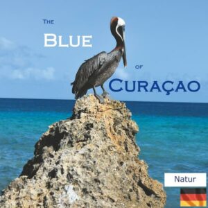 Blue Curacao ist zweifelsohne ein namhafter Likör