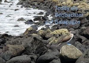 Honighäuschen (Bonn) - Teddys Herz hat sich für Galapagos geöffnet. Voller Ehrfurcht vor dem Ökosystem der Inseln hat er sich zurückgehalten und darauf verzichtet, sich Flora und Fauna zu nähern, Selfies zu schießen. Staunend hat er die berühmten Riesenschildkröten ebenso angeschaut wie kleine Blumen am Wegesrand. Zu Hause lernt er weiter über ökologischen Sinnzusammenhänge allen Lebens vor Ort.