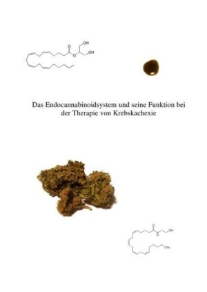 Honighäuschen (Bonn) - In dieser Masterthesis werden die antitumorale und krebsspezifische Wirkung der Cannabispflanze, körpereigener und synthetischer Cannabinoide untersucht. Es werden die körpereigenen Moleküle  sogenannte Endocannabinoide-, sowie alle am Auf- und Abbau dieser Substanzen beteiligten Enzyme beschrieben und das Zusammenspiel des Endocannabinoidsystem bei der Entstehung und Behandlung von Krebserkrankungen erläutert. Ein besonderer Fokus dieser Arbeit liegt auf der Wirkung des Endocannabinoidssystems im Bezug auf die Prävention und Behandlung von Krebskachexie. Diese und andere Fragen werden in der vorliegenden Masterthesis thematisiert: Welche Inhaltsstoffe der Cannabispflanze sind medizinisch anwendbar? Wie wird die Wirkung der Cannabispflanze im (krebskranken) Körper vermittelt? Welche Parallelen bestehen zwischen Phyto- und Endocannabinoiden sowie synthetischen Cannabinoid-Rezeptor-Agonisten und Antagonisten? Welche wissenschaftlichen Evidenzen existieren im Hinblick auf die Prävention und Behandlung von Krebskachexie über Aktivierung und Hemmung des Endocannabinoidsystems? Welche positiven und negativen Auswirkungen sind bekannt? Wie ist gegenwärtig der legale Status von medizinischem Cannabis? Welche zukünftigen Entwicklungen sind denkbar?
