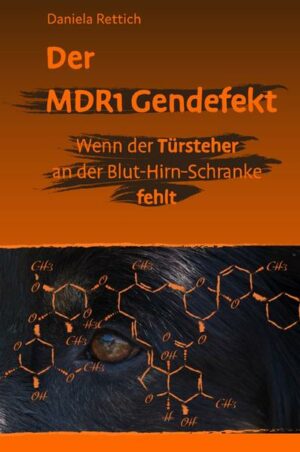 Honighäuschen (Bonn) - Der MDR1 Gendefekt wird meistens mit Narkoserisiken und Parasitenbekämpfung in Verbindung gebracht. Vor allem der Wirkstoff Ivermectin wird oft in einem Atemzug mit dem Gendefekt genannt. Doch diese Genmutation hat einen weitreichenderen Einfluss auf den Hund als allgemein angenommen wird. Viele gesundheitliche Probleme resultieren aus einer erhöhten Aktivität der passiven Stressachse. Das an der Blut-Hirn-Schranke fehlende P-Glykoprotein führt dazu, dass die körpereigenen Hormone Cortisol und Aldosteron bei jeder Aufregung in hoher Konzentration ins Nervengewebe des Hirns übertreten. Betroffene Hunde können dadurch stressanfälliger sein als nicht betroffene Tiere. Dauert der Stress an, so sind gravierende Folgen für die psychische wie auch physische Gesundheit der Vierbeiner zu erwarten. Verhaltensauffälligkeiten, die von Hundehaltern oder -Trainern nicht eingeordnet werden können, sind oft auf diese erhöhte Stressanfälligkeit zurück zu führen. Die Überflutung des Zentralen Nervensystems durch das Stresshormon Cortisol blockiert auch das Gedächtnis, Konfliktlösungen können vom Hund nicht mehr abgerufen werden. Was aussieht, als würde der Hund nicht wollen, ist in Tat und Wahrheit ein Nichtkönnen. Das Buch klärt verständlich und ausführlich über die Zusammenhänge zwischen dem MDR1 Gendefekt und der gesteigerten Aktivität der passiven Stressachse auf. Betroffene Hunde brauchen mehr Akzeptanz für ihr stressbedingtes Verhalten. Durch einen vorausschauenden Führungsstil, eine einfühlsame Betreuung und ein umsichtiges Stressmanagement kann viel für diese Tiere getan werden. Wir müssen mehr Verständnis für vom Gendefekt betroffene Vierbeiner schaffen.