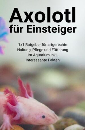 Honighäuschen (Bonn) - Axolotl für Einsteiger 1x1 Ratgeber für artgerechte Haltung, Pflege und Fütterung im Aquarium inkl. Interessante Fakten Wenn man sich den Axolotl genau anschaut, weiß man zuerst nicht, was man von ihm halten soll. Ist er ein Fisch oder ist er eine Schlange? Ist er ein Reptil oder ist er eine Amphibie? Einerseits sieht er süß aus, andererseits auch ein bisschen gruselig. Er erweckt den Eindruck, als wolle er einer monsterhaften Kaulquappe ähneln. Zudem ist er noch ein nachtaktiver Mitbewohner, der in der Dunkelheit nach seiner Beute sucht. Das traut man ihm eigentlich gar nicht zu, weil seine pinkfarbenen Äste ihn freundlich aussehen lassen. Was dich im Buch erwartet: Was sind Axolotl? Lebensdauer und Geschlechtsreife Beim Kauf beachten? Einzelgänger oder Gruppe Vergesellschaftung mit anderen Tieren Aquarium, Platzbedarf und Grundausstattung Reinigung und Intervalle Ernährung und Fütterungsintervalle Zucht und Aufzucht Häufige Krankheiten und erste Hilfe Hier geht es rund um das Thema "Wassermonster". Du wirst über die Axolotl Haltung, die Axolotl Zucht und die Axolotl Eier informiert. Bevor Du Dir ein Haustier anschaffst, solltest Du Dir im Klaren sein, was Dich alles in Zukunft erwartet. Du hast Dir mit dem Axolotl ein recht pflegeleichtes Haustier ausgesucht, was nicht so viel Aufmerksamkeit beansprucht. Mini-Steckbrief für den besseren Überblick: Name: Axolotl (übersetzt: Wassermonster) Wissenschaftlicher Name: Ambystoma Mexicanum Klasse: Amphibien Ordnung: Schwanzlurche Familie: Querzahnmolche Größe: 15 bis 45 Zentimeter Geschwindigkeit: Nicht bekannt Gewicht: 60 bis 200 Gramm Lebensdauer: 10 bis 20 Jahre Nahrung: Würmer, Fische und Krebse Feinde: Vögel und Fische Lebensraum: Mexiko Merkmale Federartige Kiemen