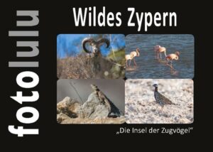 Wildes Zypern "Die Insel der Zugvögel" Neben zwei endemischen Vogelarten
