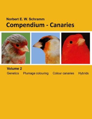 Honighäuschen (Bonn) - The second volume of the book series describes in a compact form the colour canaries and the fascinating breeding of carduelid hybrids. The author gives an overview of the history of genetics and the mechanisms of plumage colouration. The latest scientific findings are included. All currently bred and internationally recognised varieties of colour canaries are described in words and pictures. New are the colour descriptions according to the RAL colour system. Furthermore, there are valuable hints on breeding hybrids between canaries and other carduelids or between different carduelid species. Many mating is discussed and presented with pictures. These topics are rounded off with the necessary hints for participation in exhibitions and bird evaluations. In the appendix you will find a whole series of tables for the most diverse mating between individual canary colours.