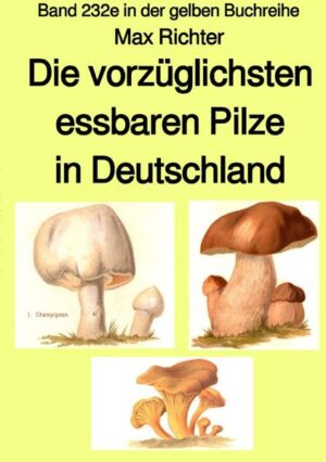 Max Richter war um 1891 in Frankenberg in Sachsen Bürgerschullehrer. Er gestaltete damals ein Buch über die vorzüglichsten essbaren Pilze in Deutschland, das in diesem Band mit weiteren Informationen über Pilze neu herausgegeben wird. Die meisten Menschen kennen nur Champignons, Steinpilze, Pfifferlinge oder Butterpilze. Max Richter lehrt uns, dass es noch viele andere köstliche Pilze gibt, wo und wann sie zu finden sind und mit welchen Giftpilzen sie verwechselt werden könnten. - Rezession: Ich bin immer wieder begeistert von der „Gelben Buchreihe“. Die Bände reißen einen einfach mit. Inzwischen habe ich ca. 20 Bände erworben und freue mich immer wieder, wenn ein neues Buch erscheint. oder: Sämtliche von Jürgen Ruszkowski aus Hamburg herausgegebene Bücher sind absolute Highlights. Dieser Band macht da keine Ausnahme. Sehr interessante und abwechslungsreiche Themen aus verschiedenen Zeit-Epochen, die mich von der ersten bis zur letzten Seite gefesselt haben! Man kann nur staunen, was der Mann in seinem Ruhestand schon veröffentlicht hat. Alle Achtung!