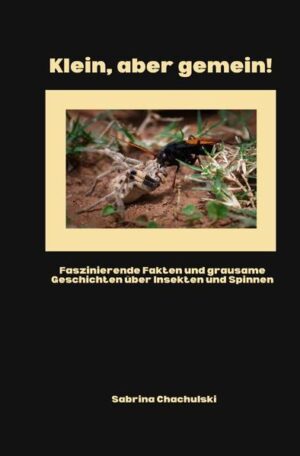 Klein aber gemein!: Faszinierende Fakten und grausame Geschichten über Insekten und Spinnen | Sabrina Chachulski